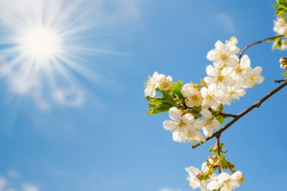 Kışa doyan Bursa'ya bahar geliyor!