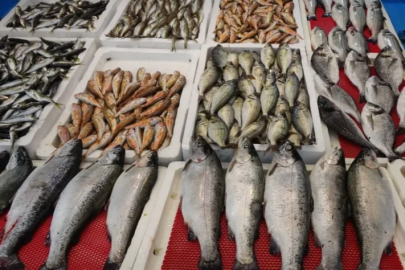 Yasak başladı, tezgâhlar onlara kaldı