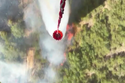Sakarya'daki yangın Bilecik'e sıçradı!