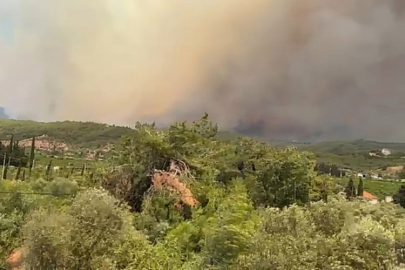 Ege'nin incisi cehenneme döndü!