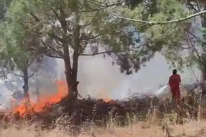 Bursa'daki yangın kontrol altına alındı