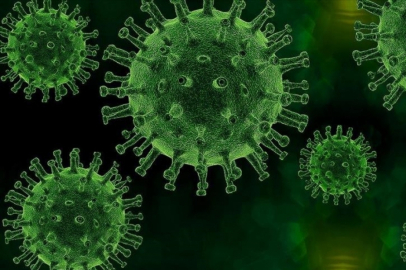 ABD'de bir kişinin veba testi pozitif çıktı