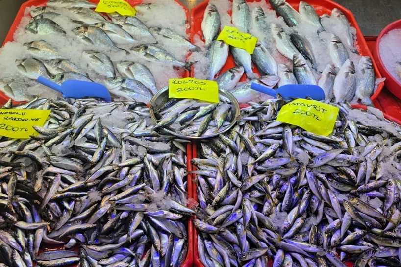 Balıklar tezgahtaki yerini aldı