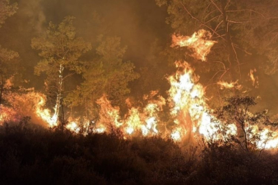 İki ilimiz alev alev yanıyor!