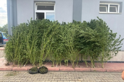 Bursa'da çok sayıda uyuşturucu ele geçirildi!