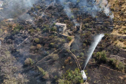 Patlıcan közlerken ormanı yakan şahıs yakalandı: 1 gözaltı
