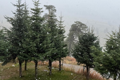 Bolu'da mevsimin ilk karı yağdı!