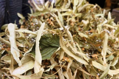 Kış aylarında kurtarıcı!