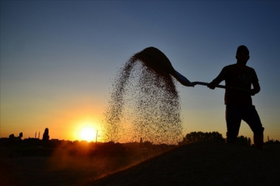 Üreticiye 3 milyon liralık destek!