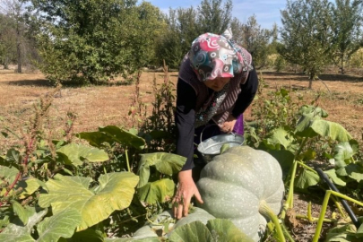 Bursa'da bahçesinde görünce şoke oldu! "Torunum kadar"