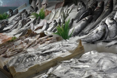 Bursa'nın ünlü balıkçısı, 5 restoranın 1 aylık hasılatını Gazze'ye bağışlayacak