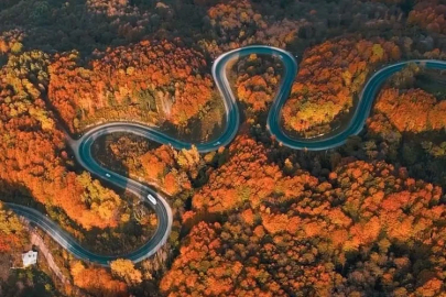 Yeşilden kırmızıya, turuncudan sarıya renk cümbüşü