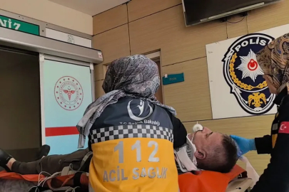 Bursa'da ağaçtan düşen adam hayatını kaybetti!