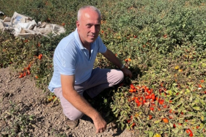 Bursalı gurbetçi Londra'da kazandı, memleketine yatırdı