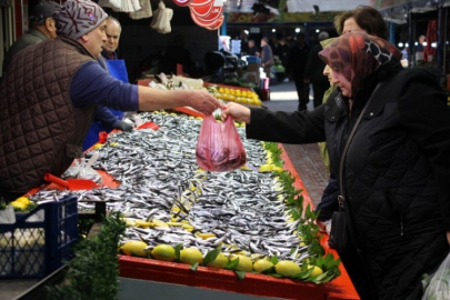 Fiyatı düşen hamsiye talep arttı!