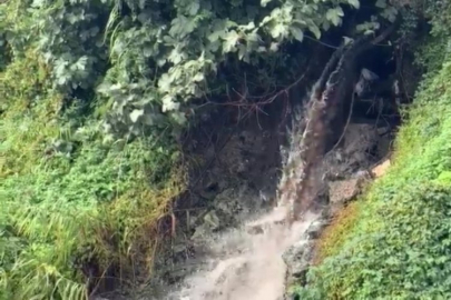 Bursa'da Karsak Deresi alarm veriyor!