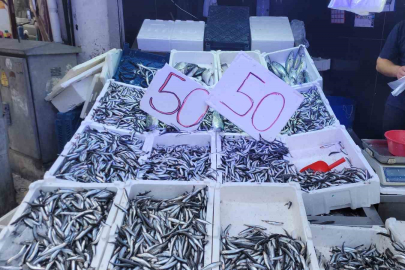 Karadeniz hamsisi tezgahları doldurdu: Kilosu 50 lira
