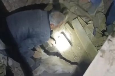 Sındırgı'da enkaz altında kalan eşek canlı kurtarıldı