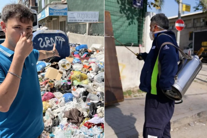 Çöp krizi istilaya dönüştü, şehir dört koldan ilaçlanıyor!