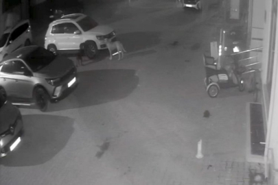 Sokak köpekleri park halindeki aracı parçaladı