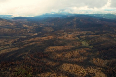 Bursa'da 953 hektarlık alan kül olmuştu! İlk adım atıldı...