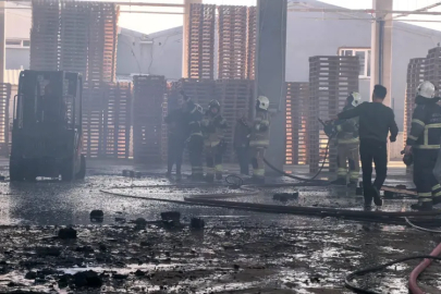 Bursa’da palet fabrikası alevlere teslim oldu