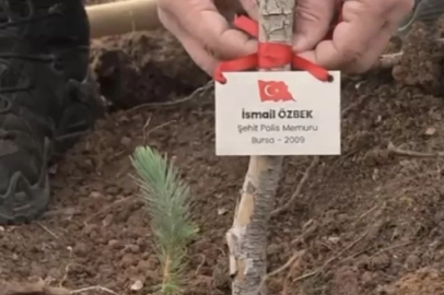 Bursa'da şehitler için fidan dikildi!