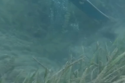 Sapanca Göl'ündeki kabarcıklar...