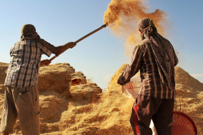 Tarım-GFE yıllık yüzde 34,60 arttı