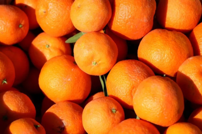 Zirai ilaç kalıntısı bulunan 6 ton mandalina imha edildi