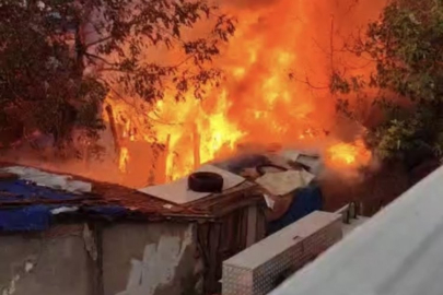 Bursa'da korkutan yangın! Ağaçlara sıçradı...