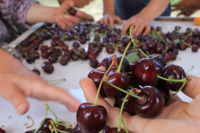 15 Aralık’ta okullarda "Coğrafi İşaret Günü" kutlanacak