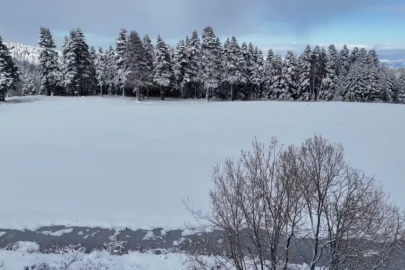 Uludağ'da kar alarmı: Zirvedeki 10 cm kar eridi, gözler hafta sonu kar yağışında!