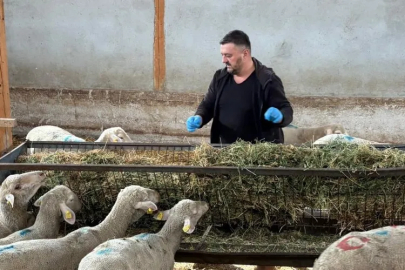 Bursa'da 1.5 milyon TL zarar ettiler! 'Mücadele etmeye çalışıyoruz ama yalnız kalıyoruz'