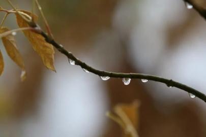 Yağışlar Bursalıların yüzünü güldürdü!