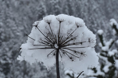 Zigana Dağı'nda kar etkili oldu
