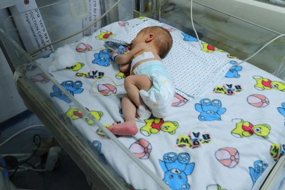 Gazze'de prematüre bebekler hayatta kalma mücadelesi veriyor