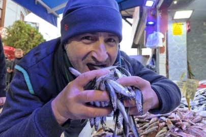 Hamsiye rağbet tam!