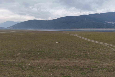 Bursa’da bir göl daha yok oluyor...