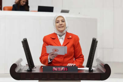 AK Parti Bursa Milletvekili Gözgeç: Çelik kubbenin altında daha yapacak çok işimiz var