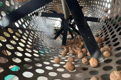 Bursa'da dikenin hayatı değişti, tersine göç başladı!