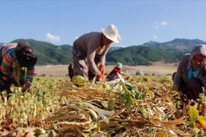 Çiftçiler için çağrı: Başvurular 31 Aralık'ta sona erecek!