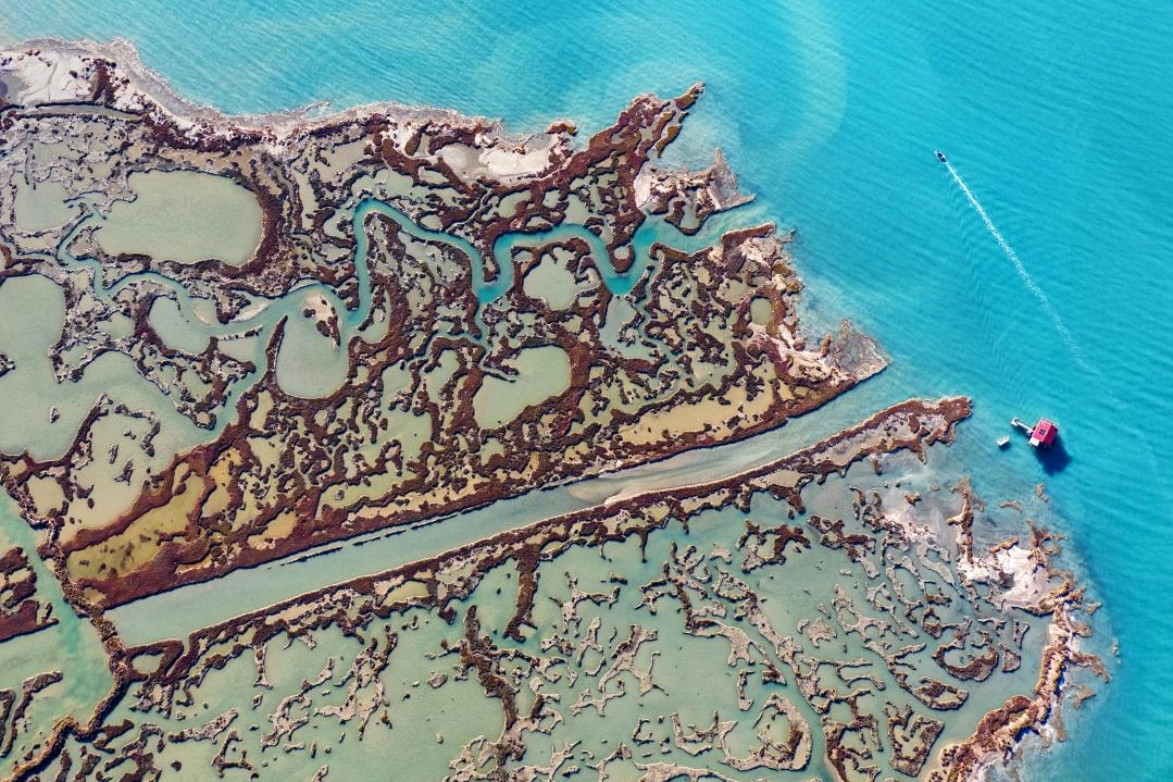 Sulak alanların sessiz güzelliği: Yumurtalık lagünü