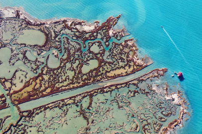 Sulak alanların sessiz güzelliği: Yumurtalık lagünü