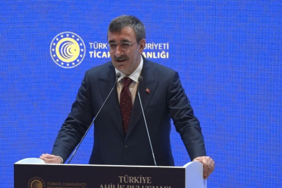 Cumhurbaşkanı Yardımcısı Yılmaz: "Ocak ayı enflasyon rakamıyla birlikte enflasyonda 20’li rakamları göreceğiz"