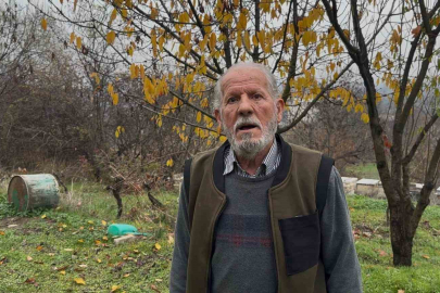 Bursa'da zirai ilaç yüzünden milyonlarca arısı kovana dönemeden öldü