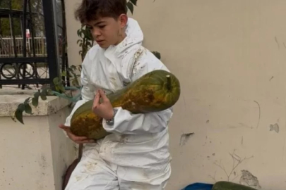 Bursa'da ata tohumu toprağa değdi: 30 kiloya ulaştı...