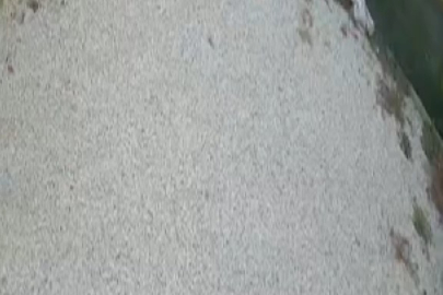 Bursa'da sürücü evin bahçesine daldı!