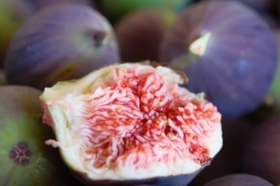 Bursa'nın dünyaca ünlü ürünü dolar basıyor...