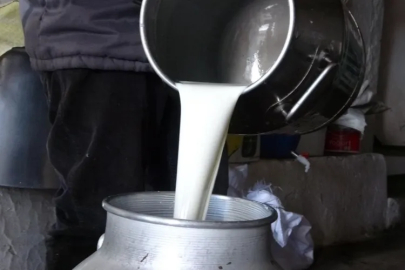 Çiğ süt fiyatları belli oldu!